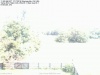 Web Cam Image - Sun, 07/17/2016 11:50am EDT