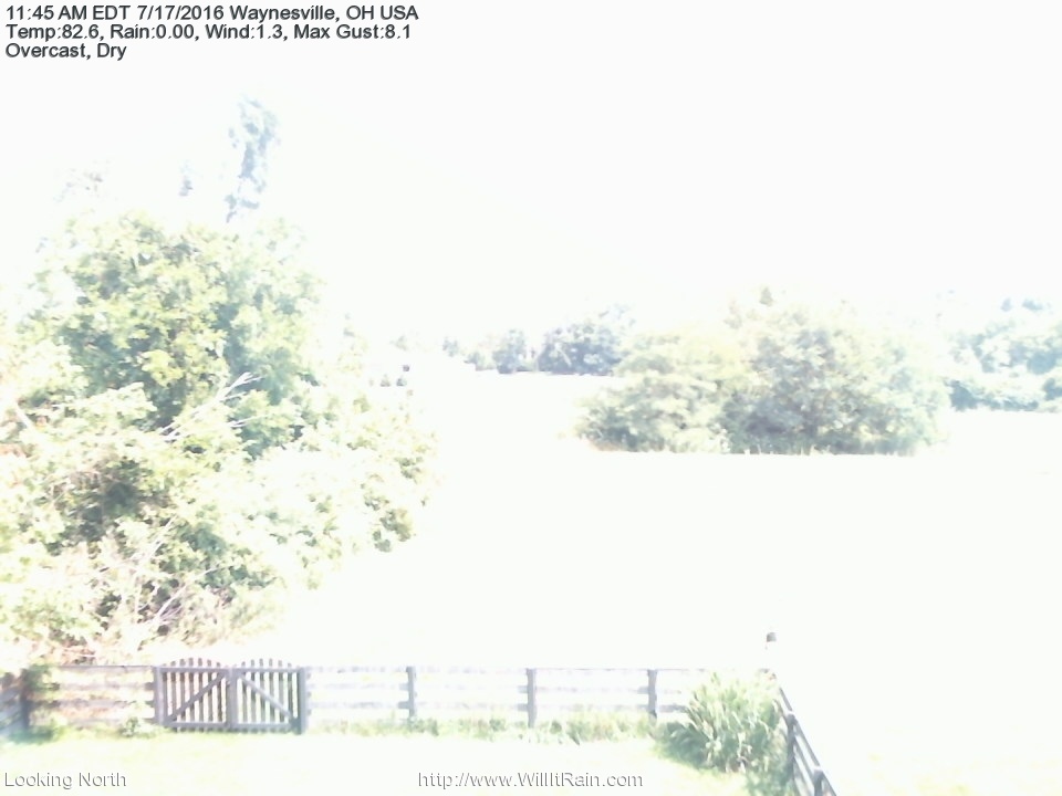 Web Cam History Image - 169