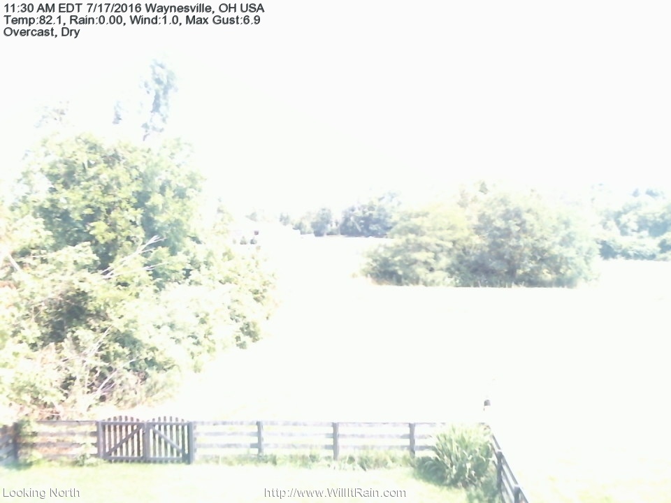 Web Cam History Image - 172