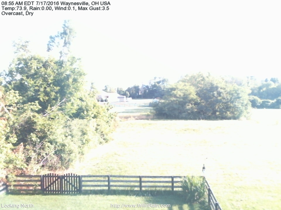 Web Cam History Image - 203