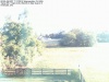 Web Cam Image - Sun, 07/17/2016 8:00am EDT