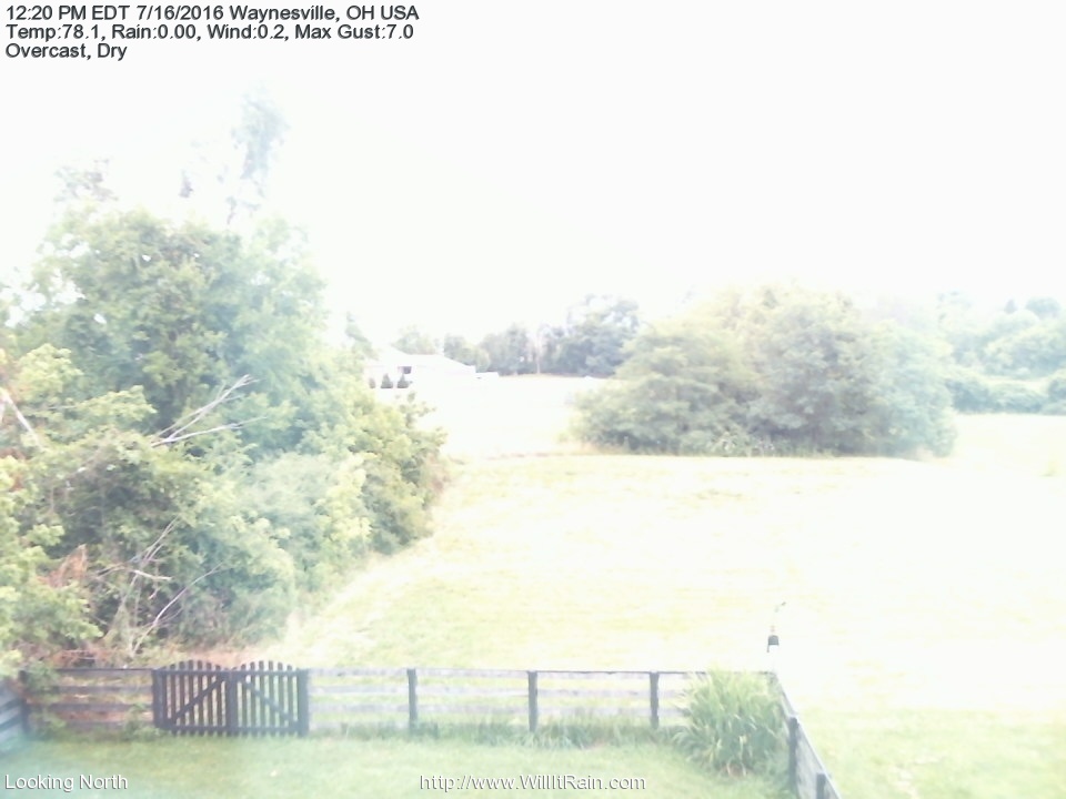 Web Cam History Image - 446