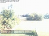 Web Cam Image - Sat, 07/16/2016 8:55am EDT