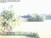 Web Cam Image - Sat, 07/16/2016 8:50am EDT