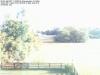 Web Cam Image - Sat, 07/16/2016 8:30am EDT