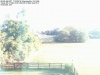 Web Cam Image - Sat, 07/16/2016 8:05am EDT